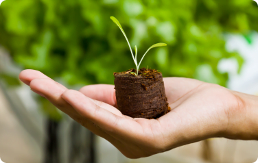 Building the Foundations for Growth