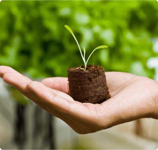 Building the Foundations for Growth